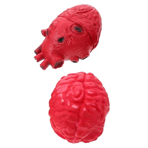 Gatuida 2 Stück Realistische Halloween Dekoration Teiliges mit Lebensechtem Künstlichem Herz und Gehirn Gruselige Party Requisite für Horror Motto für Zuhause Partys Bars und Spukhaus Gatuida 2 Stück Realistische Halloween Dekoration Teiliges mit Lebensechtem Künstlichem Herz und Gehirn Gruselige Party Requisite für Horror Motto für Zuhause Partys Bars und Spukhaus von Gatuida