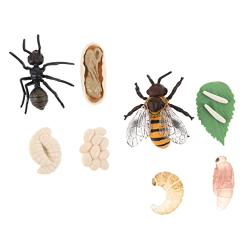 Gatuida 2Sätze Teiliges Insektenwachstumszyklus Modellset Kognitive Spielzeuge für Bienen und Ameisenlebenszyklus Pädagogisches Lernspielzeug für Montessori Inspiration Fördert von Gatuida