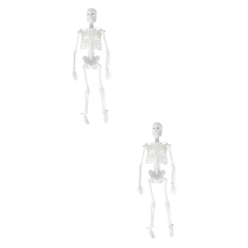 Gatuida 2St menschliches Skelett Modell des menschlichen Körpers Anatomiemodell Modelle Statue des menschlichen Skeletts Anatomisches Studienmodell menschlicher Körper Schulmaterial von Gatuida