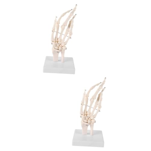 Gatuida 2St Handknochengelenkmodell kleine Skelette Skelettmaske Skelettpuppe Hände Medizinisches Handknochenmodell Menschliches Skelettmodell Handskelettmodelle handgelenk modell PVC Weiß von Gatuida