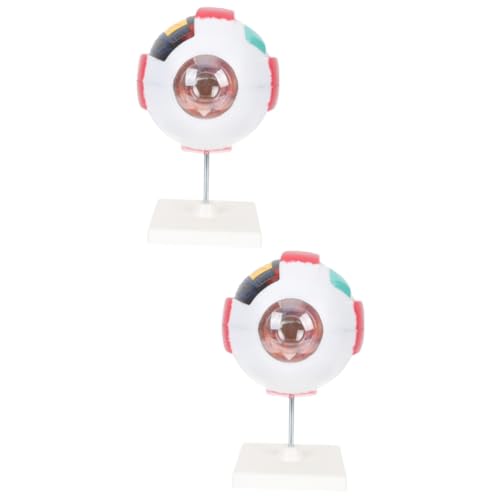 Gatuida 2St menschliches auge modell Augen Modell der Lendenwirbelsäule Modelle Herzmodell Gehirn Augapfel-Anatomie-Darstellungsmodell medizinische Lehrstütze Anatomiemodell PVC Gatuida 2St menschliches auge modell Augen Modell der Lendenwirbelsäule Modelle Herzmodell Gehirn Augapfel-Anatomie-Darstellungsmodell medizinische Lehrstütze Anatomiemodell PVC von Gatuida