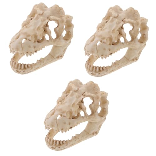 Gatuida 3St Reptilien-Dinosaurier-Schädelmodell aus Harz Maske Halloween- im Freien Kostüm bücherregal dekoration buchregal dekoration Unterrichtszubehör Dinosaurier-Schädel-Modell von Gatuida