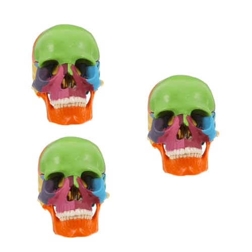 Gatuida 3st Schädelmodell Skulptur Modell Puzzle-modell Mini Elektronische Waage Kariertes Sammelalbum Waage Elektronische Waage Anatomisches Diagrammmodell Ventilschaftmodell Plastik Gatuida 3st Schädelmodell Skulptur Modell Puzzle-modell Mini Elektronische Waage Kariertes Sammelalbum Waage Elektronische Waage Anatomisches Diagrammmodell Ventilschaftmodell Plastik von Gatuida