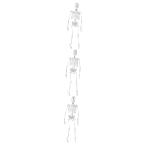 Gatuida 3St Anatomisches Studienmodell menschliches Skelettmodell Modell des menschlichen Körpers Skelett in voller Größe Modelle Statue des menschlichen Skeletts abnehmbar Schulmaterial von Gatuida