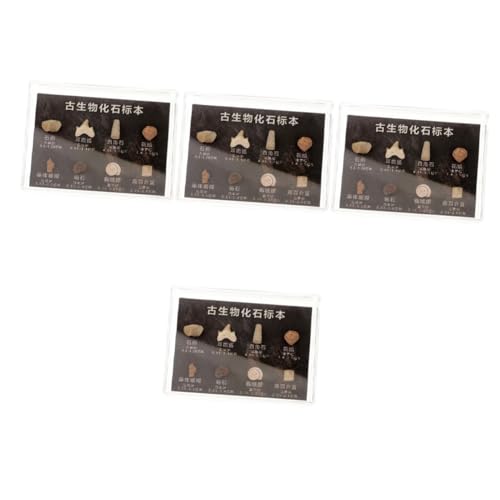 Gatuida 4 Boxen Proben Einfache Anhänger Dekoration Hygrometer Dinosaurier Lamellen Meeresmonitor Mini Barometer Pflanzen/Felsthermometer Handbuch Pfoten Geoden Gatuida 4 Boxen Proben Einfache Anhänger Dekoration Hygrometer Dinosaurier Lamellen Meeresmonitor Mini Barometer Pflanzen/Felsthermometer Handbuch Pfoten Geoden von Gatuida