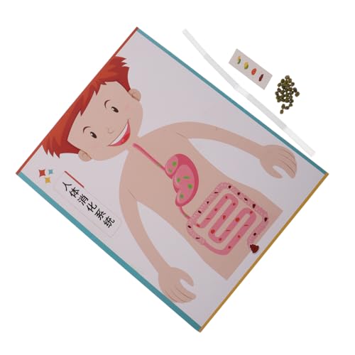 Gatuida 4 Sätze DIY Modell Bausatz für Interaktives Lehrmaterial für Schule und Zuhause Fördert Kreativität Hand-Auge-koordination und Biologisches Interesse Gatuida 4 Sätze DIY Modell Bausatz für Interaktives Lehrmaterial für Schule und Zuhause Fördert Kreativität Hand-Auge-koordination und Biologisches Interesse von Gatuida