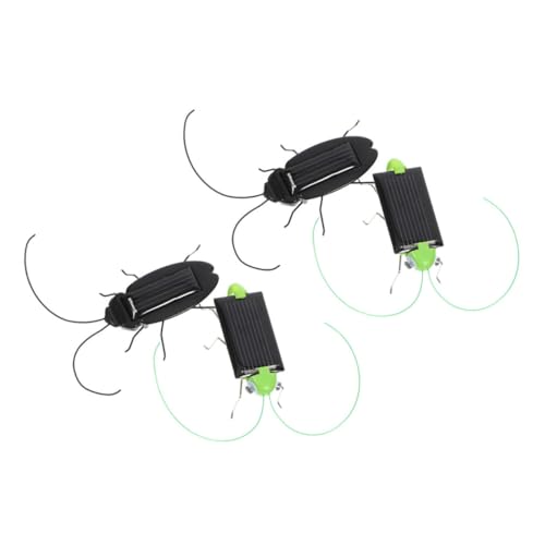 Gatuida 4 Stück Realistische Solar Modellkäfer Plastik Simulation für Klassenzimmer Experimente und Naturerfahrungen von Gatuida