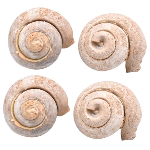 Gatuida 4 Stücke Proben Für Jungen Und Mädchen Pädagogisches Lehr Wohnen Decor Ornamente von Gatuida