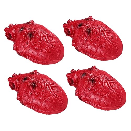 Gatuida 4 Stück Teiliges Halloween Deko Gefälschte Menschliche Organe Herz Requisiten Leicht Tragbar Robust für Spukhaus Party Tischdekoration Gatuida 4 Stück Teiliges Halloween Deko Gefälschte Menschliche Organe Herz Requisiten Leicht Tragbar Robust für Spukhaus Party Tischdekoration von Gatuida