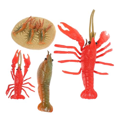 Gatuida 4 Stück Teiliges Hummer Lebenszyklus Modell Kunststoff Realistische Meeresbewohner Lernspielzeug für Pädagogische Tierfiguren Wachstum Zyklus Simulation von Gatuida