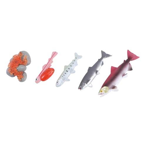 Gatuida 4 Stück Teiliges Set Lebensechte Lachssimulation Lernspielzeug Aquarium Figuren Realistische Fischmodelle zur Frühkindlichen Tiererkennung in Zufälligen Farben Zufällige Farbe Gatuida 4 Stück Teiliges Set Lebensechte Lachssimulation Lernspielzeug Aquarium Figuren Realistische Fischmodelle zur Frühkindlichen Tiererkennung in Zufälligen Farben Zufällige Farbe von Gatuida