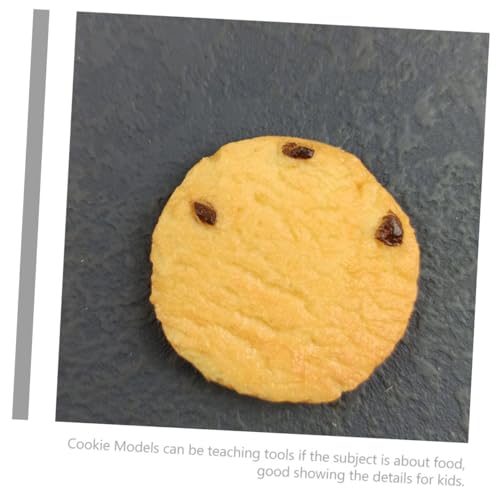 Gatuida 5 Stück Teiliges Keksmodell Realistische Künstliche Dekorationen für Bäckerei und Candybar Lebensechte Simulation für Fotografie und Ausstellungszwecke Farbenfrohe Dessert von Gatuida