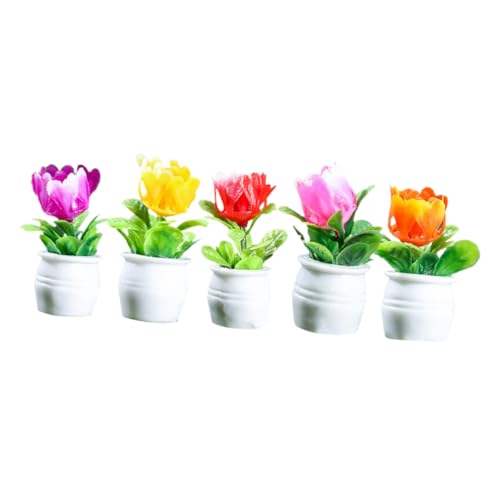 Gatuida 5 Stück Teiliges Miniatur Puppenhaus Pflanzen Realistische Mini Blumentöpfe aus Resin Detailreiche Micro Landschaftsdekoration Puppenhaus Zubehör für Kinderfreundliche Wohnszene Gatuida 5 Stück Teiliges Miniatur Puppenhaus Pflanzen Realistische Mini Blumentöpfe aus Resin Detailreiche Micro Landschaftsdekoration Puppenhaus Zubehör für Kinderfreundliche Wohnszene von Gatuida