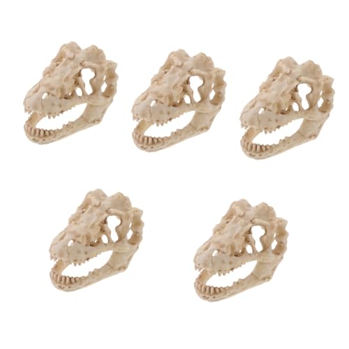 Gatuida 5St Reptilien-Dinosaurier-Schädelmodell aus Harz Modell Anatomie gefälscht Skelett bücherregal dekoration buchregal dekoration Modell-Dinosaurier-Schädel Dinosaurier-Knochen- von Gatuida