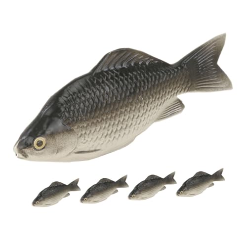 Gatuida 5Stücke Realistische Fischmodelle aus Karpfen für Aquarien Leicht und Langlebig für DIY Ornamente für Freunde und Familie Gatuida 5Stücke Realistische Fischmodelle aus Karpfen für Aquarien Leicht und Langlebig für DIY Ornamente für Freunde und Familie von Gatuida