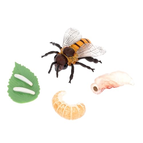 Gatuida Bee Growth Cycle Modellset Pädagogisches Insekten mit Realistischen Details Montessori Lernspielzeug für Fördert Kreativität und Naturverständnis Teiliges Lernset Gatuida Bee Growth Cycle Modellset Pädagogisches Insekten mit Realistischen Details Montessori Lernspielzeug für Fördert Kreativität und Naturverständnis Teiliges Lernset von Gatuida