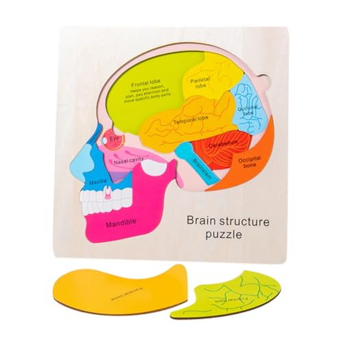 Gatuida Brain Structure Wooden Puzzle Lernspielzeug für Fördert Logisches Motorische Fähigkeiten mit Mehrschichtigen Gehirnstruktur Puzzles für Kreatives Gatuida Brain Structure Wooden Puzzle Lernspielzeug für Fördert Logisches Motorische Fähigkeiten mit Mehrschichtigen Gehirnstruktur Puzzles für Kreatives von Gatuida