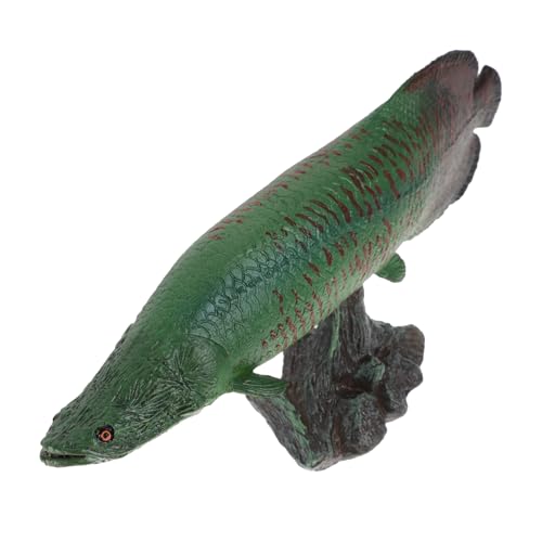 Gatuida Dekorative Figur aus Robustem Kunststoff Kindgerechtes für Mädchen Fördert Kreativität und Fischwissen Tier Modell mit Sockel Gatuida Dekorative Figur aus Robustem Kunststoff Kindgerechtes für Mädchen Fördert Kreativität und Fischwissen Tier Modell mit Sockel von Gatuida