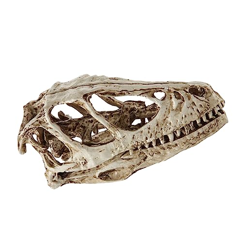 Gatuida Dinosaurier-schädel-modell Dinosaurier-modellbausatz Skelette Kuhschädel Ornament Gecko Miniatur Halloween-skelett Rehschädel Tyrannosaurus-figur Gefälscht Wolf Weiß Harz Gatuida Dinosaurier-schädel-modell Dinosaurier-modellbausatz Skelette Kuhschädel Ornament Gecko Miniatur Halloween-skelett Rehschädel Tyrannosaurus-figur Gefälscht Wolf Weiß Harz von Gatuida