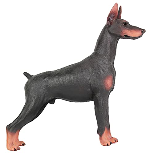 Gatuida Dobermann Hund Statue Realistisches Tiermodell für Langlebiges Lernspielzeug für Kreative Bildung und Dekoration Geeignet für Haustierliebhaber und Spielzeugliebhaber Gatuida Dobermann Hund Statue Realistisches Tiermodell für Langlebiges Lernspielzeug für Kreative Bildung und Dekoration Geeignet für Haustierliebhaber und Spielzeugliebhaber von Gatuida