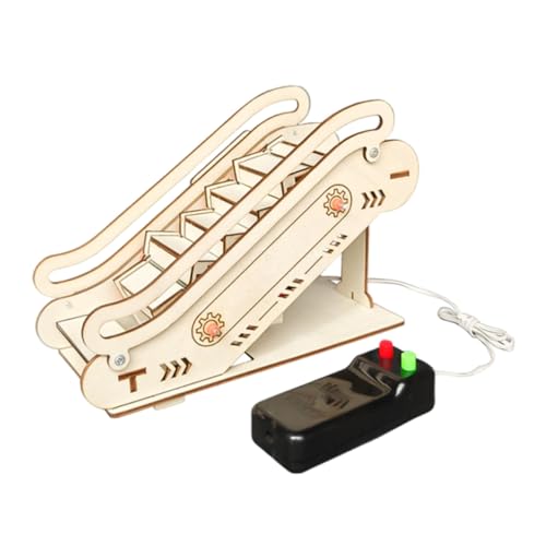 Gatuida Elektrisches DIY Holzaufzug Modell Bausatz Lernspielzeug Stem Wissenschaft Experiment für Jungen Mädchen Kreative Praktische von Gatuida