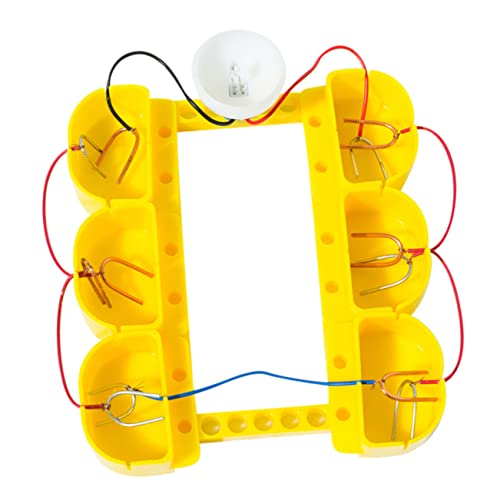 Gatuida Fruchtbatterie Experimentierkasten Physik für Stem Wissenschaft Lernset Elektrizität Experimentierspaß Ab Grundschule von Gatuida