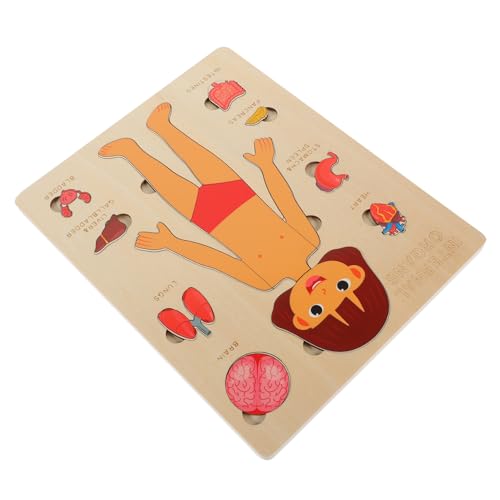 Gatuida Holzpuzzle Menschliche für Kleinkinder Lernspielzeug zur Kognitiven Entwicklung für Jungen und Mädchen Fördert Verständnis der Inneren Gatuida Holzpuzzle Menschliche für Kleinkinder Lernspielzeug zur Kognitiven Entwicklung für Jungen und Mädchen Fördert Verständnis der Inneren von Gatuida