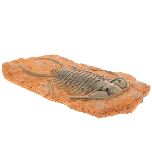 Gatuida Paleontologische Insekten-sammelobjekte Fossile Insekten-ornamente Für Unterricht Dekorative Und Tragbare Insektenexemplare Für Wissenschaftliche Sammlungen Und Lernspielzeug Gatuida Paleontologische Insekten-sammelobjekte Fossile Insekten-ornamente Für Unterricht Dekorative Und Tragbare Insektenexemplare Für Wissenschaftliche Sammlungen Und Lernspielzeug von Gatuida