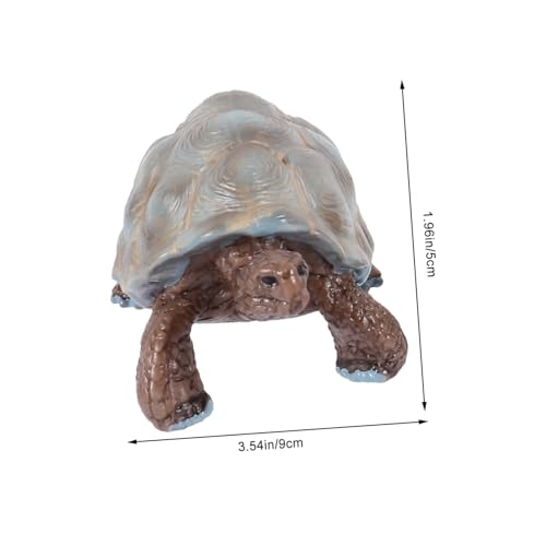 Gatuida Lebenszyklus Schildkröten Modell Lernspielzeug für Realistische Wachstumszyklus Figuren aus Leichtem Kunststoff Kognitives Montessori und Dekoration von Gatuida