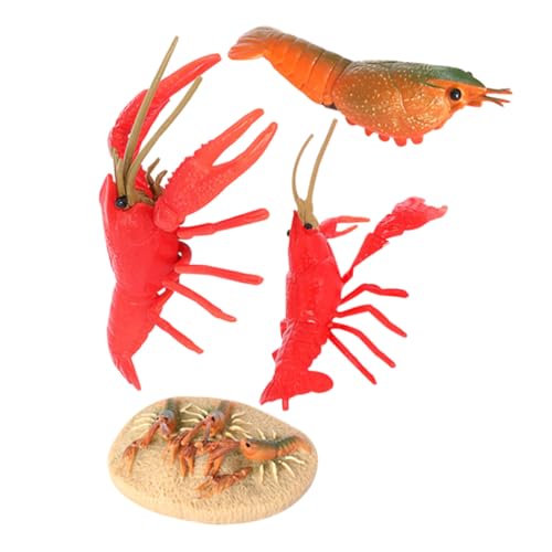 Gatuida Lernspielzeug Lebenszyklus Modell Krabben Krebs Figur Simulation Biologisches Wachstumszyklus für Naturwissenschaftliche Bildung und Kreativität Gatuida Lernspielzeug Lebenszyklus Modell Krabben Krebs Figur Simulation Biologisches Wachstumszyklus für Naturwissenschaftliche Bildung und Kreativität von Gatuida