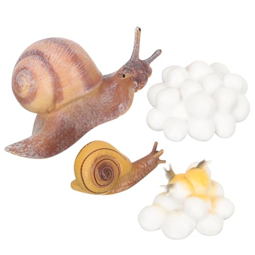 Gatuida Lernspielzeug Tier Lebenszyklus Modelle Teiliges Realistische Schnecken Wachstumszyklus Figuren Montessori Frühpädagogik Lernspielzeug von Gatuida