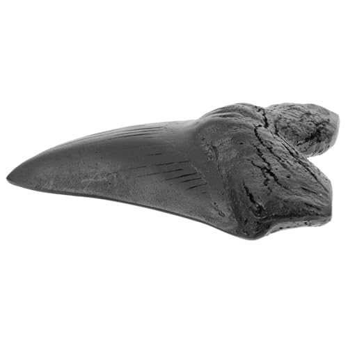 Gatuida Megalodon Zähne Replik Simulation Zähne Modell Künstliche Zähne Dekoration Neuheit Home Decor Gatuida Megalodon Zähne Replik Simulation Zähne Modell Künstliche Zähne Dekoration Neuheit Home Decor von Gatuida