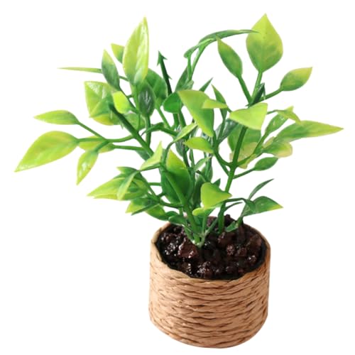 Gatuida Miniatur Orangenbaum Modell Pflanze Kunststoff Mini Blumentopf Ornament Puppenhaus Dekoration für Jungen Mädchen Zimmerdeko von Gatuida