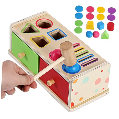 Gatuida Montessori Holz Farb und Formsortierbox Lernspielzeug für Kleinkinder Jahre Bunte Geometrische Holzklötze zur Farberkennung und Motorischen Pädagogisches Montessori Lernspiel von Gatuida