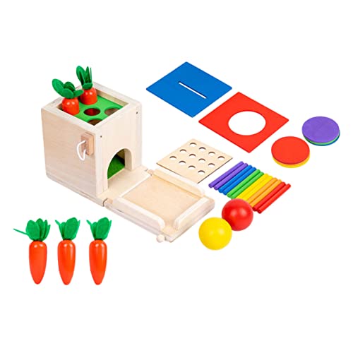 Gatuida Montessori Multifunktionales Sensory Toy Bunte Holzbausteine Farbige Steckbox Lernspielzeug Farberkennung und Feinmotorik für Jungen und Mädchen von Gatuida