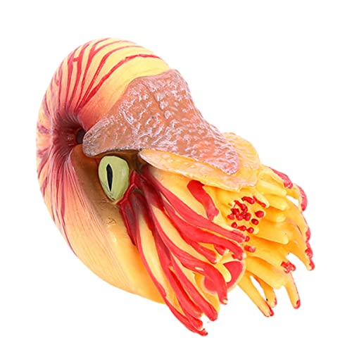 Gatuida Nautilus Modell Simuliertes Meerestier aus Hochwertigem Sicherem Kunststoff Dekorative Unterwasserstatue für Aquarien und Lernspielzeug Gatuida Nautilus Modell Simuliertes Meerestier aus Hochwertigem Sicherem Kunststoff Dekorative Unterwasserstatue für Aquarien und Lernspielzeug von Gatuida