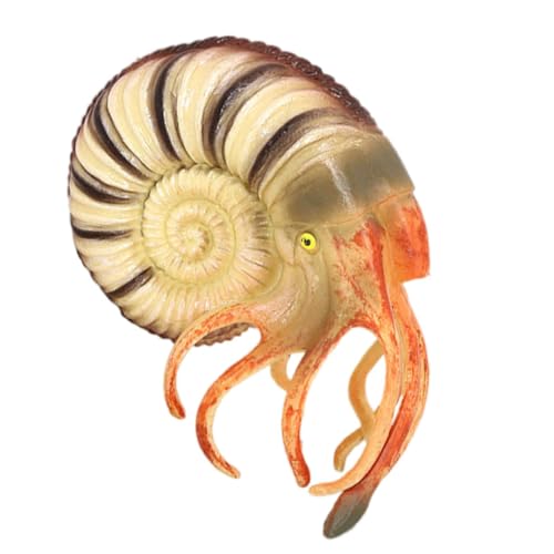 Gatuida Nautilus Modellspielzeug Realistisches Nautilus Dekorationsornament Bunte Figuren für Aquarium Lernspielzeug für Meeresbewohner für Garten Balkon Partys von Gatuida