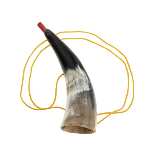 Gatuida Ox Horn Trompete Kreatives Horn mit Außergewöhnlichem für Windinstrumentenanfänger Farbe Zufällig von Gatuida