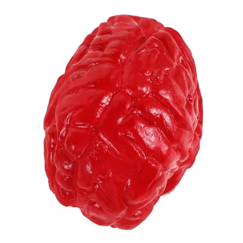 Gatuida Realistische Halloween Gehirn Deko Prop Leicht zu Reinigen und Kompakt Vielseitig für Haunted House Bar und Innenbereich Langlebige Detailgetreue Fake Brain Party Dekoration Gatuida Realistische Halloween Gehirn Deko Prop Leicht zu Reinigen und Kompakt Vielseitig für Haunted House Bar und Innenbereich Langlebige Detailgetreue Fake Brain Party Dekoration von Gatuida