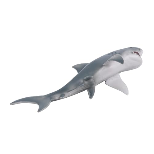 Gatuida Realistische Weiße Fisch Spielfigur aus Hochwertigem Pädagogisches Meeres tiermodell für Robustes Meerestier der Fantasie Sicher und Langlebig für Junge Entdecker Ab Jahren von Gatuida