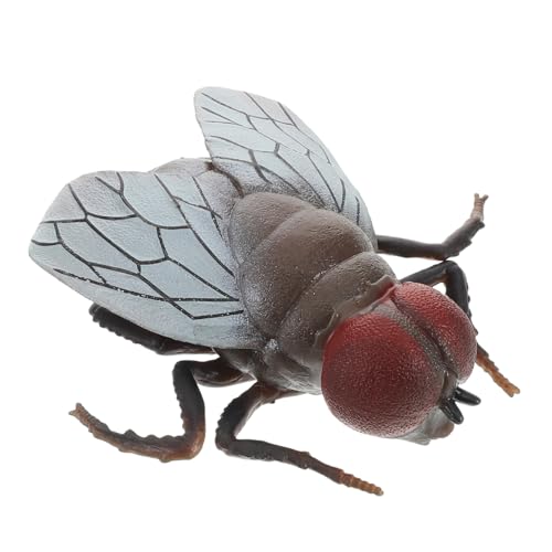 Gatuida Realistisches Fliegen Modell aus Sicherem Material für Insekten für Feiertagsdekoration und Pranks für Partys und Lernzwecke Gatuida Realistisches Fliegen Modell aus Sicherem Material für Insekten für Feiertagsdekoration und Pranks für Partys und Lernzwecke von Gatuida