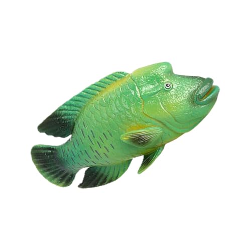 Gatuida Realistisches Humphead Wrasse Modell aus Robustem Kunststoff Kindgerechtes Tiermodell zur Naturerfahrung Langlebige Aquarium Dekoration Lebensechte Humphead Wrasse Figur für von Gatuida
