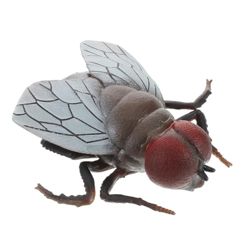 Gatuida Realistisches Insektenmodell Solide für Halloween Partys und Streichideen Vielseitige Dekoration für Räume und Veranstaltungen Gatuida Realistisches Insektenmodell Solide für Halloween Partys und Streichideen Vielseitige Dekoration für Räume und Veranstaltungen von Gatuida