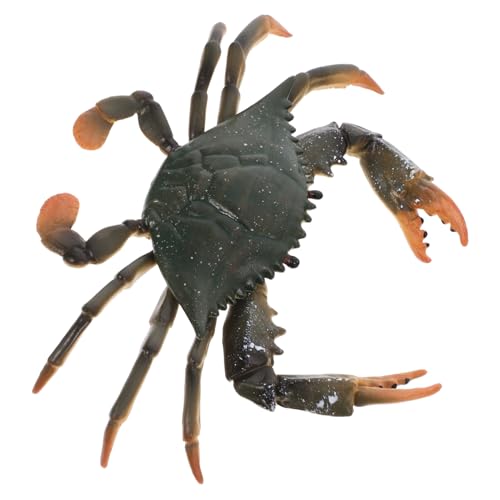 Gatuida Realistisches Krabbenmodell aus Leichtem Sicherem Pädagogisches Meeres Tier Modell Fördert Kindliche Vorstellungskraft und Kognitive Fähigkeiten für Jungen und Mädchen Gatuida Realistisches Krabbenmodell aus Leichtem Sicherem Pädagogisches Meeres Tier Modell Fördert Kindliche Vorstellungskraft und Kognitive Fähigkeiten für Jungen und Mädchen von Gatuida