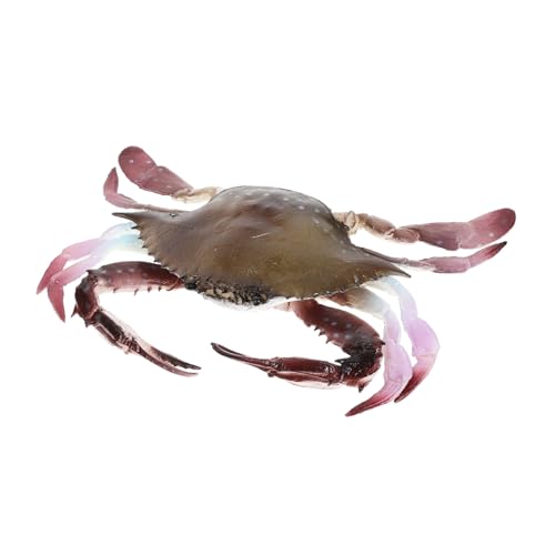 Gatuida Realistisches Krabbenmodell aus PVC Dekorative Meerestier Figur für Aquarien und Terrarien für Gatuida Realistisches Krabbenmodell aus PVC Dekorative Meerestier Figur für Aquarien und Terrarien für von Gatuida