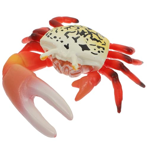 Gatuida Realistisches Krabbenmodell aus Pädagogisches Lernspielzeug für Dekoratives Meerestier für Aquarium Terrarium und Innenbereich Simulationsmodell Gatuida Realistisches Krabbenmodell aus Pädagogisches Lernspielzeug für Dekoratives Meerestier für Aquarium Terrarium und Innenbereich Simulationsmodell von Gatuida
