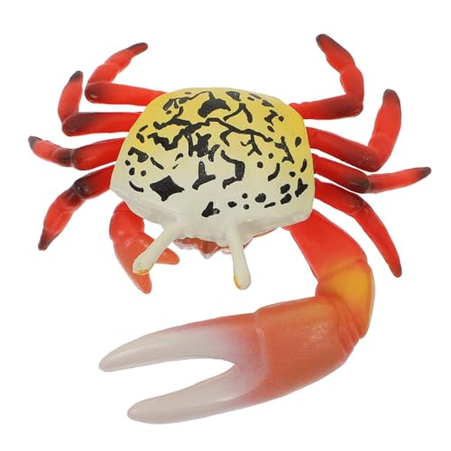 Gatuida Realistisches Krebs Modell Künstliche Meerestiere Figur Kindgerechtes Lernspielzeug Dekorative Aquarium Deko Leichtes Krebsornament von Gatuida