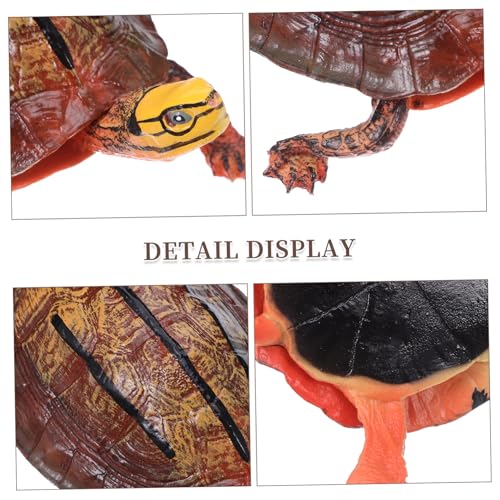 Gatuida Realistisches Kunststoff Schildkrötenmodell Kinderkognitives Dekorative Tierfigur für Innenräume Gartenfigur Outdoor Tischdekoration von Gatuida