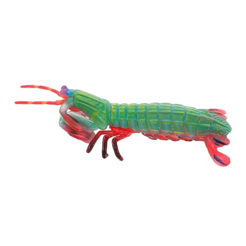 Gatuida Realistisches Mantis Garnelen Modell mit Detailgetreuer Gestaltung für Lernspielzeug und Dekoration Vielseitig Einsetzbar als Meeresbewohner Figur Gatuida Realistisches Mantis Garnelen Modell mit Detailgetreuer Gestaltung für Lernspielzeug und Dekoration Vielseitig Einsetzbar als Meeresbewohner Figur von Gatuida