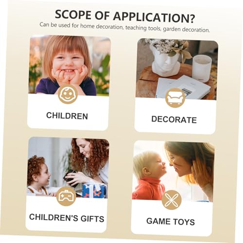 Gatuida Realistisches Teiliges Bienen Lebenszyklus Modell Lernspielzeug für Detailgetreues Insekten Display zur Kognitiven und Anschaulichen Biologievermittlung von Gatuida